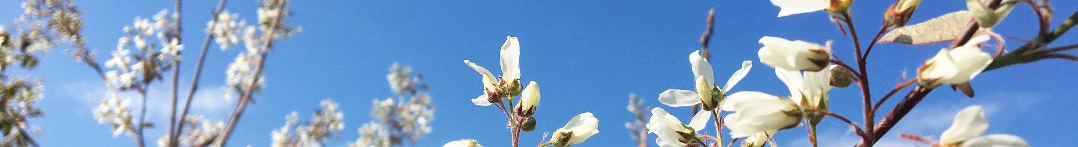 Schließung der Büros an Himmelfahrt und Pfingsten